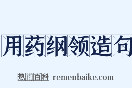 用药纲领造句是什么意思的图片